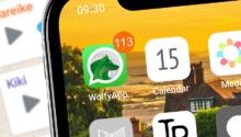 Rezension: 113 von Wolfy Office